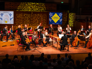 202538. Capriccio Stravagante Renaissance Orchestra (8983 Mariekewijntjes)