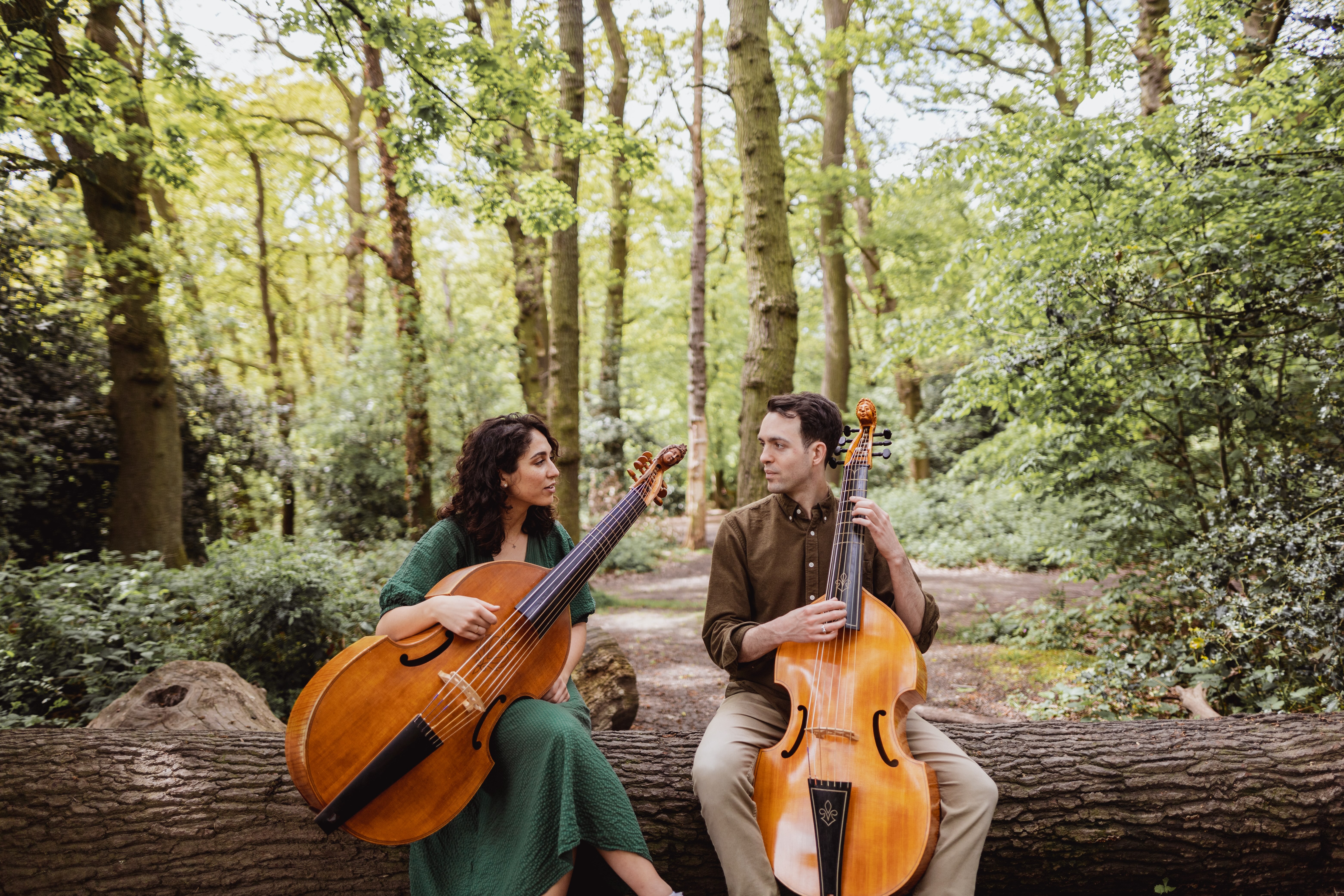 Model.HeaderVisualTitle