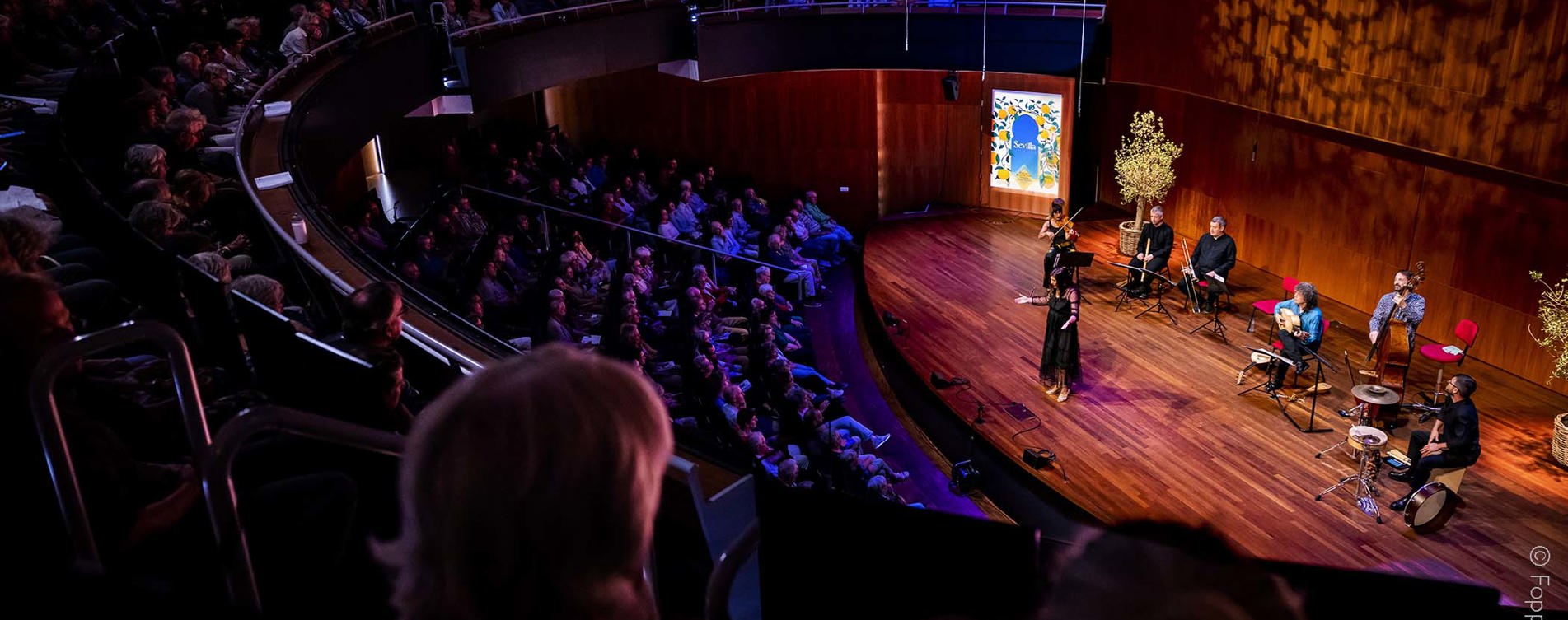 Model.HeaderVisualTitle